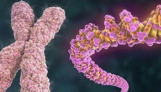 多发性骨软骨瘤在泰国做三代试管婴儿能否阻断遗传？