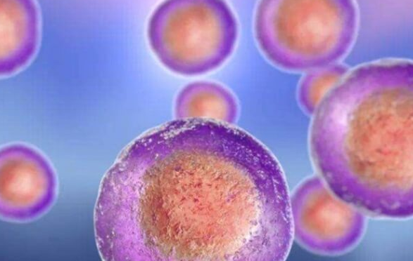 女性AMH0.01卵巢早衰能否做试管婴儿？优质卵泡是关键