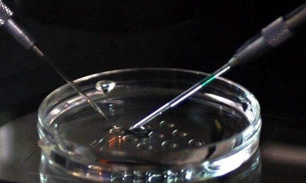 瘦人促排取多少卵泡正常？5-6个也算正常