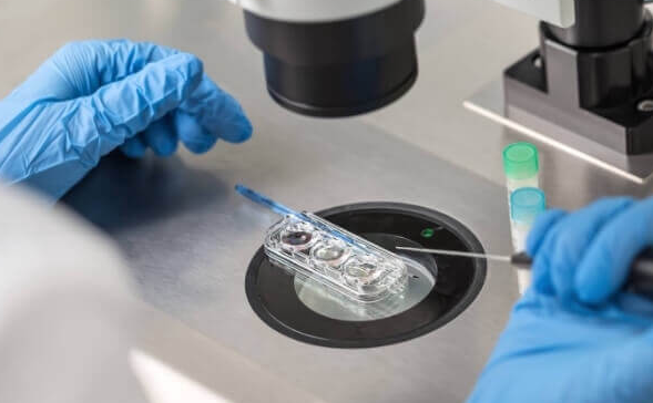 上海试管婴儿医院：试管婴儿助孕应做好这5大准备工作