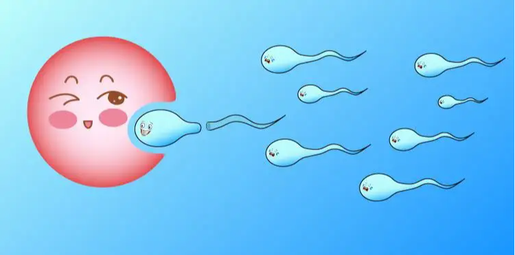 格鲁吉亚universe三代试管婴儿：冻胚成功率更高的核心因素解析