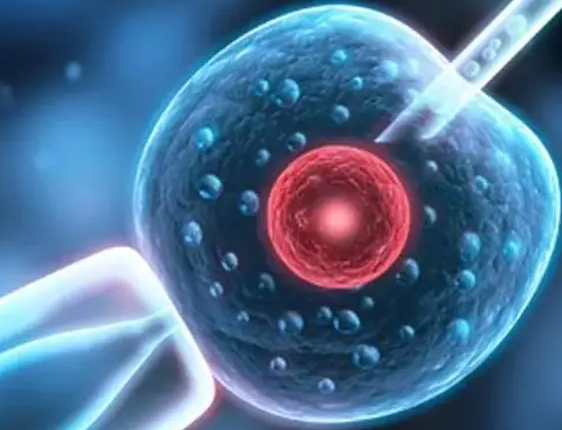 排卵障碍危害大，四大调理方法助预防