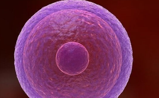 上海试管婴儿医院：取卵后腹水对身体的伤害及应对策略