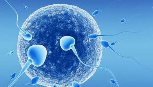 美国试管取卵后第二次月经多久来？