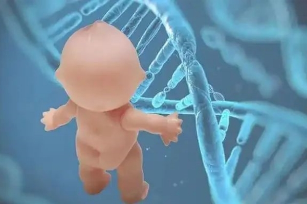 到泰国做三代试管婴儿也会面临失败？详解背后的复杂因素