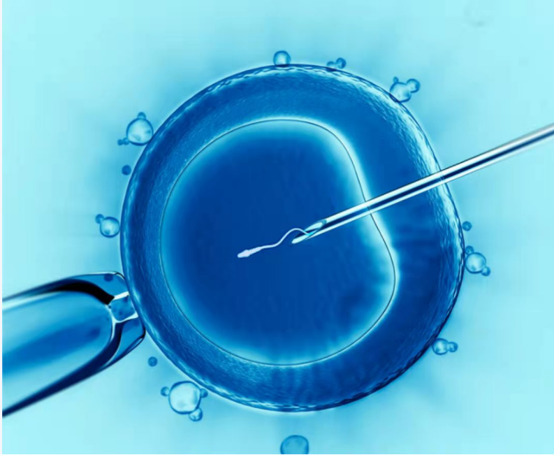 杭州三代试管婴儿备孕前必查:高龄女性科学规划生育的关键步骤