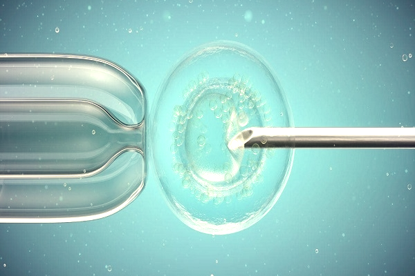 微刺激方案取卵时间解析：常规8-14天，个体差异需关注