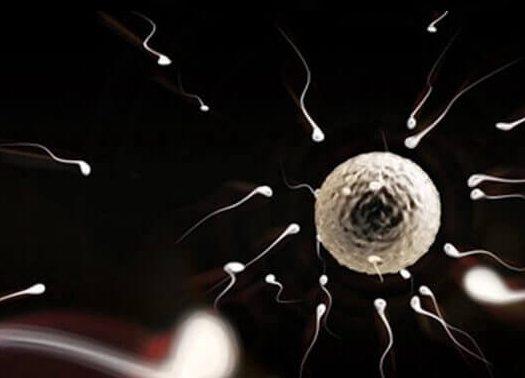 试管婴儿移植双胎：风险解析与科学应对