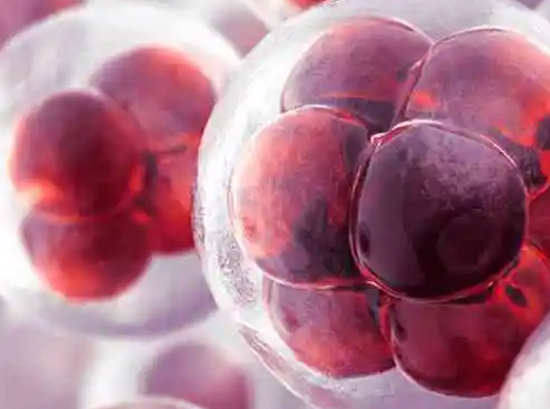 上海试管婴儿医院:鲜胚移植第二天腹水应对指南