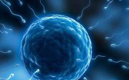 40岁在泰国做试管成功几率预测：年龄并非绝对限制