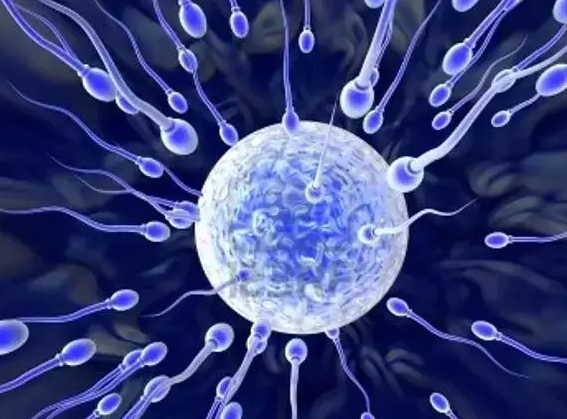 试管婴儿人工周期用药指南与准备工作流程全解析