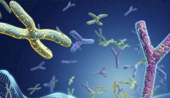 泰国三代试管能筛查的遗传病列表一览