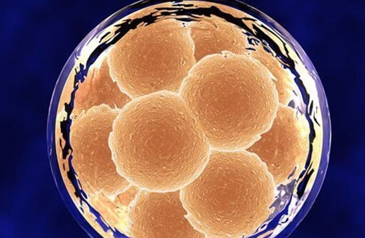 赴美试管婴儿冻胚移植失败后间隔多久可再移植？