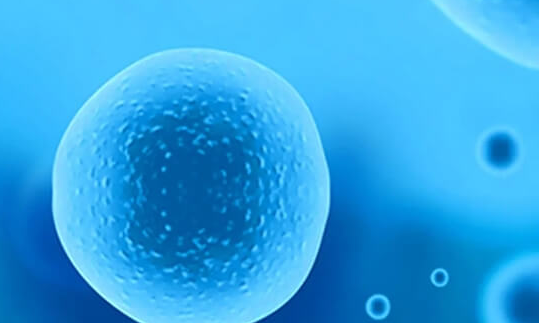 赴美做试管婴儿基础卵泡少只有3个怎么办？