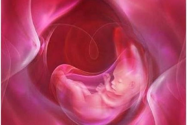 泰国千禧生殖中心:试管移植后子宫收缩应对指南