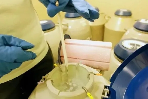 美国CCRH生殖中心:冻卵-现代女性的生育保障与选择