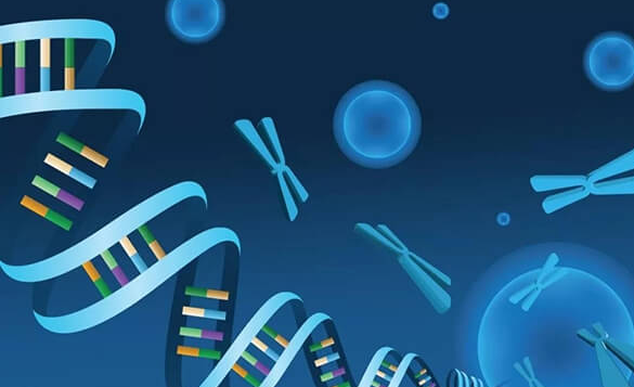 性染色体异常生育难题，泰国三代试管婴儿破局有道