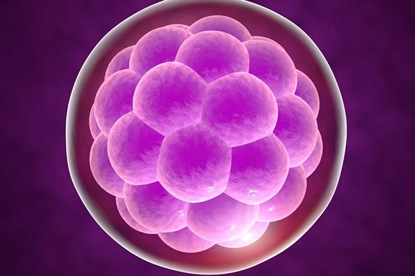 泰国DHC生殖医院:囊胚BC级别与CB级别哪个更适合移植?