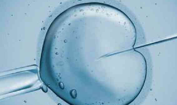 自然周期移植冻胚：黄体酮为何不可或缺？