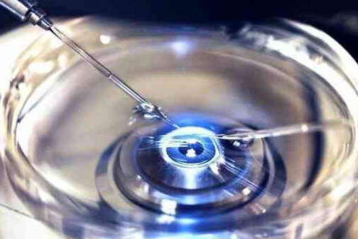 试管移植后子宫收缩怎么办？快看应对指南