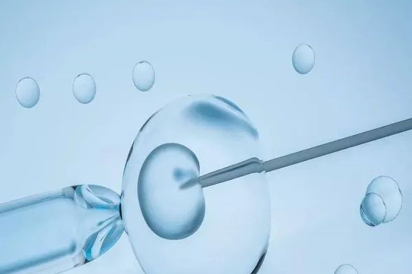 美国EFC生殖中心:35岁试管移植胚胎的数量选1还是2?