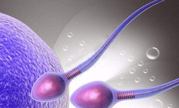 卵泡不均匀赴美试管适合哪种方案？