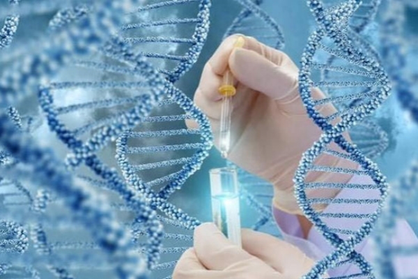 泰国三代试管婴儿健康探秘