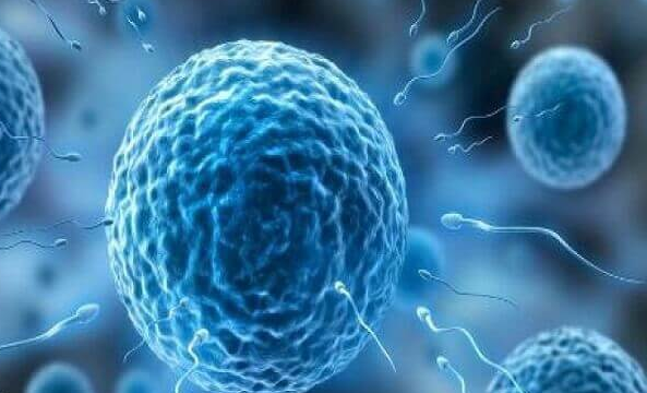 试管胚胎移植后出汗多:原因与应对