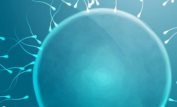 上海试管婴儿医院:高龄女性提高试管婴儿成功率的多维策略