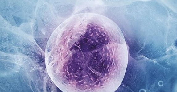 美国试管移植前降调：精准调控生殖内分泌，为胚胎着床铺路