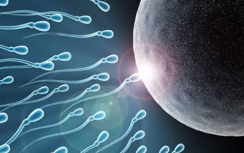 泰国试管婴儿移植后10大症状解析：腹痛、出血与着床信号全梳理