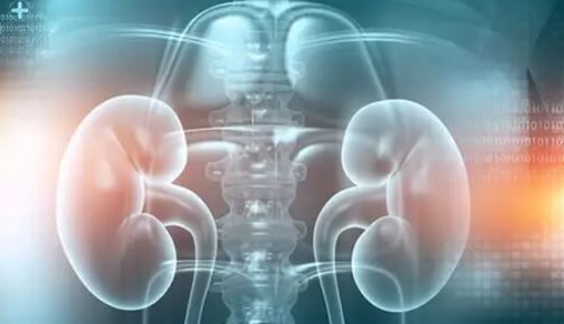 上海试管婴儿医院：肾小球肾炎与试管婴儿，风险评估与科学决策