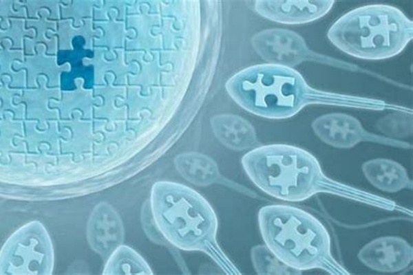 美国EFC生殖中心：冻胚移植12天后无感觉是否正常？