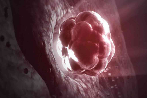 泰国DHC生殖医院：囊胚解冻后降级，移植成功率需依据胚胎质量综合评估