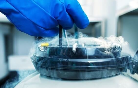 试管婴儿冻胚移植：进周流程与取卵前大不同