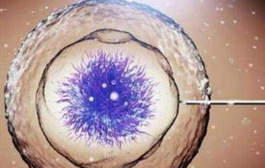 上海试管婴儿医院：试管婴儿自然周期方案利弊解析