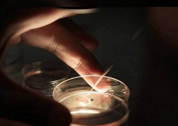 美国三代试管婴儿技术能否实现龙凤胎？