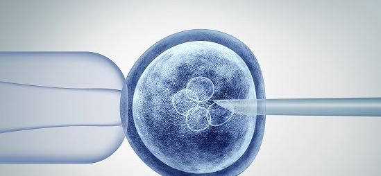 泰国试管婴儿技术选择指南：精准匹配需求是关键