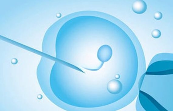 试管婴儿剩余胚胎怎么处理？能否捐赠？一文详解