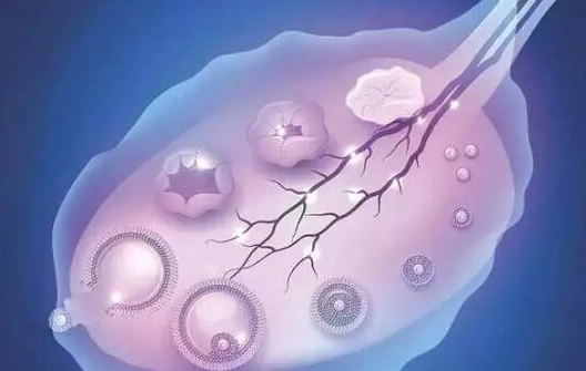 上海试管婴儿医院：多囊促排前需做的准备工作归纳