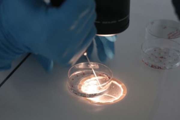 美国EFC生殖中心：试管婴儿如何避免空囊现象？四招实用建议