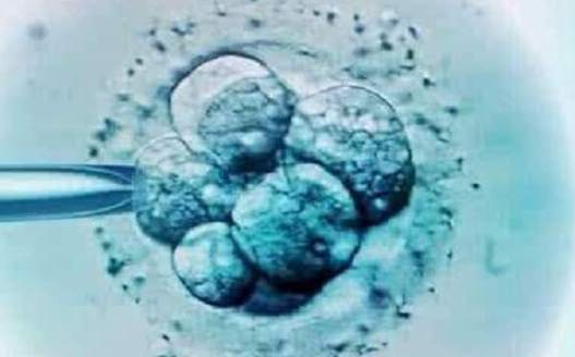 赴泰试管胚胎不着床怎么办？科学应对策略全解析