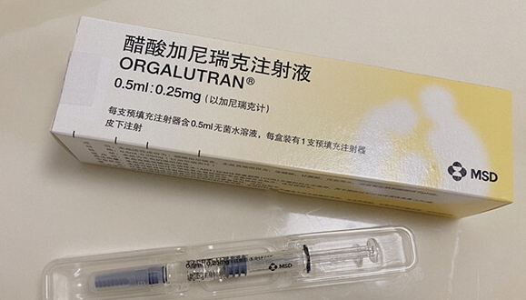 加尼瑞克注射后取卵时间:个体化差异下的精准把控