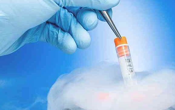 冻卵后怎么怀孕:复苏卵子是关键一步