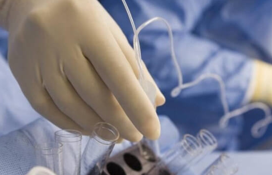 上海试管婴儿医院：取卵后多久移植最佳，卵裂期胚胎和囊胚时间大不同