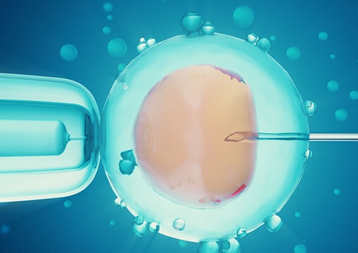 美国试管移植两个胚胎有讲究！什么条件下能移植？