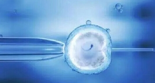 试管拮抗剂方案利弊分析：降低卵巢过度刺激是核心优势