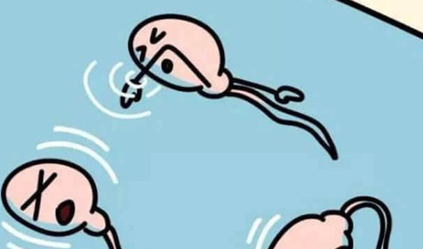 上海试管婴儿医院：精子质量不佳别担忧，找准原因提升活力助生育