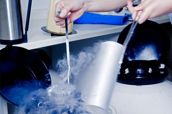 泰国DHC生殖医院：冻胚移植-取卵多、内膜薄等人群的理想选择