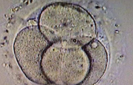 泰国试管婴儿移植失败不要急，看完便知怎么回事了
